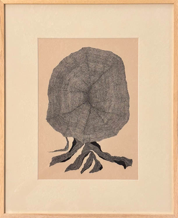 Memory of a tree origin , 2026